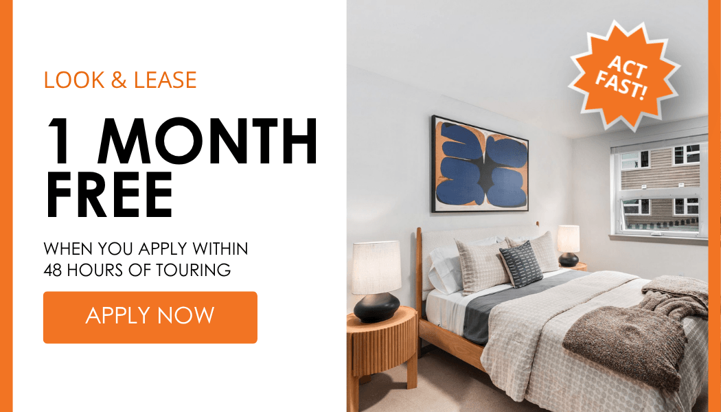 Spring into savings